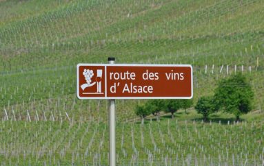 Vins d’Alsace : des cépages d’exception