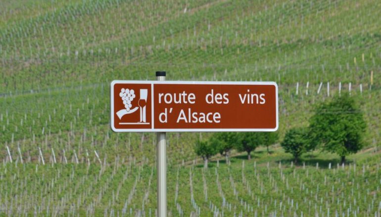 Vins d’Alsace : des cépages d’exception